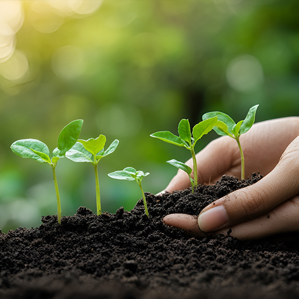 Environmental Stewardship